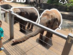 -深圳野生动物园