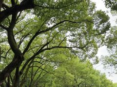 -衣裳街历史文化街区