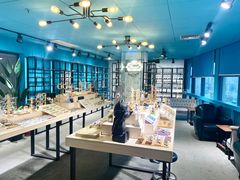 -Trend1881视光·蔡司视觉(领展广场店)