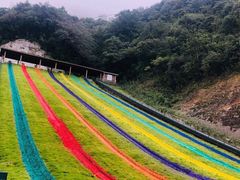 -梦幻奥陶纪景区