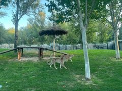 -北京野生动物园