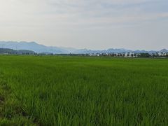 -西溪南古村落