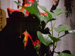 -馬蘭花開(车站大道店)