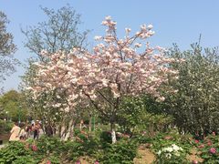 -江南大学(蠡湖校区)