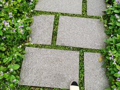 -茅家埠