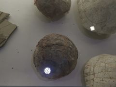 -中国第四纪冰川遗迹陈列馆