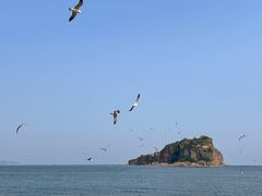 -棒棰岛宾馆景区