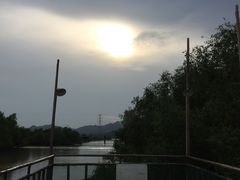 -崖口红树林海鲜餐厅
