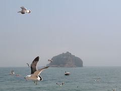 -棒棰岛宾馆景区