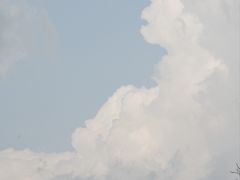 -白鹭湾湿地公园