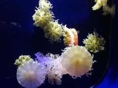 -台州海洋世界