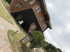 -金山农民画村-枫泾波兰倒置屋