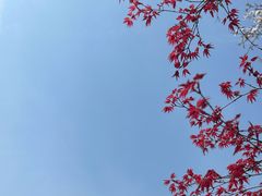 -堤角公园