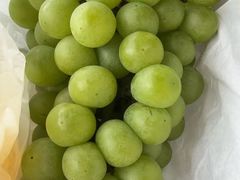 -马陆小张葡萄园农家乐