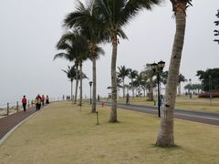 -野狸岛