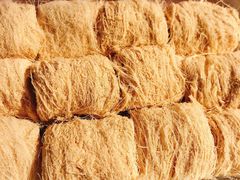 -罍+村卤菜摊(罍街店)