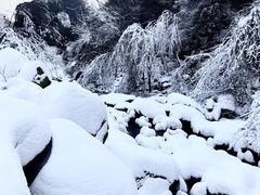 -少华山国家森林公园