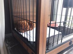 -瑞鹏宠物医院·内科·中兽医·骨科(苗圃店)