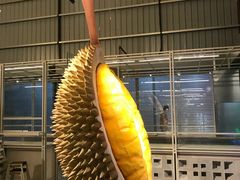 -都念榴莲·城市榴莲