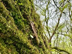 -西湖风景区-江洋畈生态公园