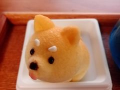 -柴犬高等学院·狗咖·柴犬售卖·宠物训练