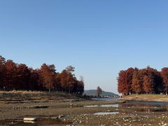 -四明湖