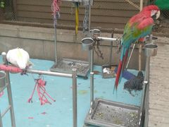 -陕西自然博物馆