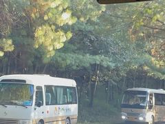 -云南野生动物园