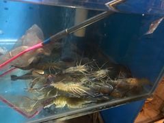 -Thai Basil罗勒叶泰式餐厅(时代天街店)