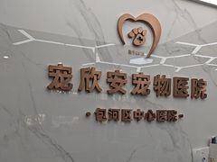 -宠欣安宠物医院·包河区中心医院