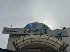 -西归浦每天偶来市场