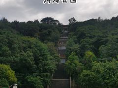 -洱海月湿地公园