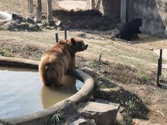 -无锡动物园·太湖欢乐园