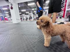 -FIGHTMAN格斗俱乐部(长宁临空店)
