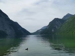 -柯尼希湖