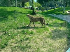 -北京野生动物园