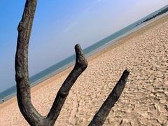 -巧克力渔家.小船海鲜家常菜(万平口店)