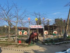-广东花都香草世界旅游度假区