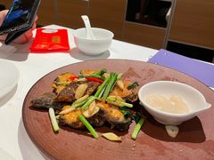 金不换煎焗白鳝-博多新记·粤菜(复兴店)