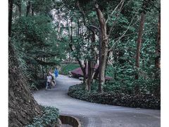 -南岗山公园