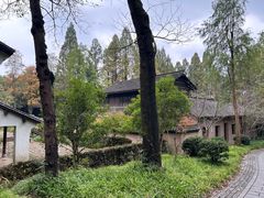 -杭州植物园