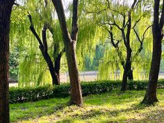 -中国浦东干部学院