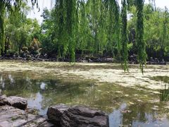 -莲湖公园