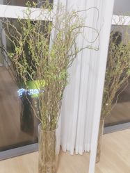 -阿南达·瑜伽普拉提·阿育吠陀疗愈中心