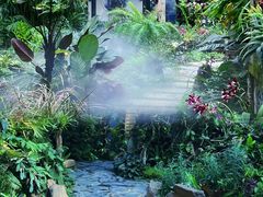 -东莞植物园