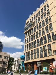 -上海交通大学医学院附属上海儿童医学中心(陆家嘴总院区)