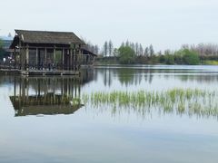 -溱湖国家湿地公园