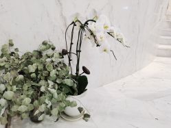 -Hi Beauty Skin 科技美肤中心