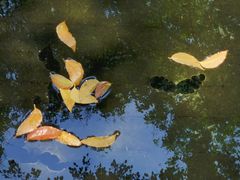 -大千画院(福田校区)