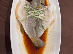 清蒸白水鱼-全聚德(上海首店浦东店)